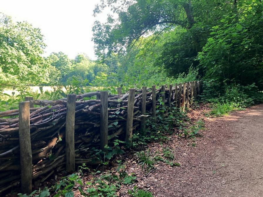 Foto: Majken Sundahl